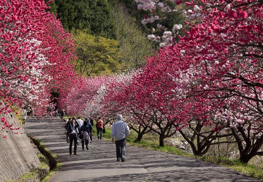 201305021525-DSC08549.jpg