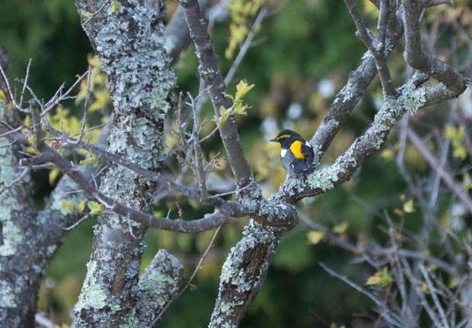 201305021724-DSC08646.jpg