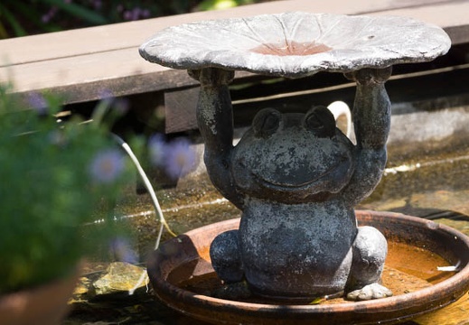 201305031029-DSC08702.jpg
