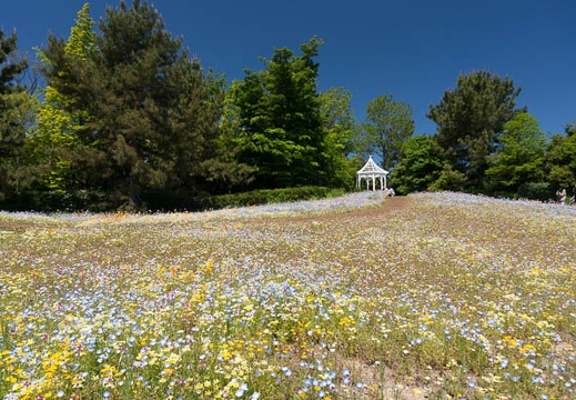 201305031031-DSC01140N.jpg