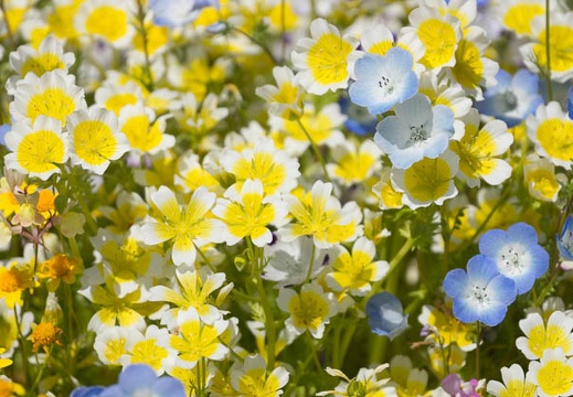 201305031041-DSC08716.jpg