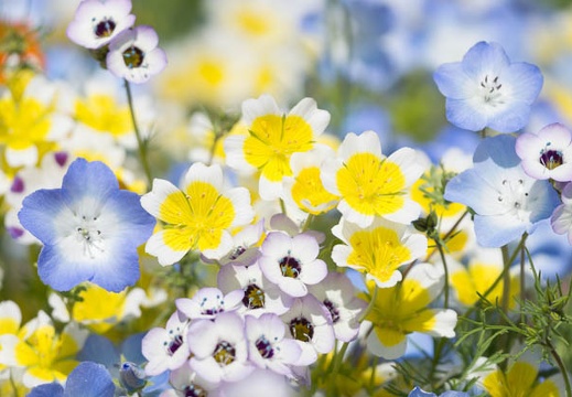 201305031043-DSC08718.jpg