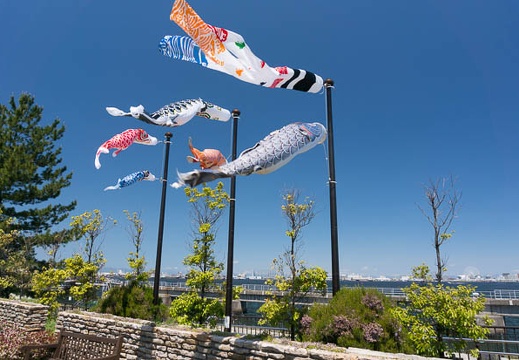 201305031056-DSC01178N.jpg