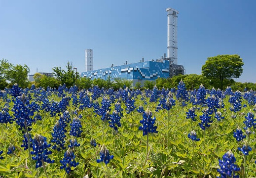 201305031128-DSC01206N.jpg