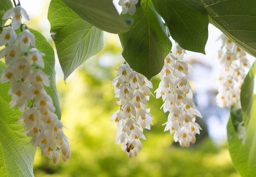 201305031411-DSC08756.jpg