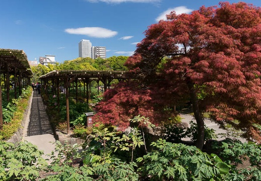 201305031427-DSC01220N.jpg