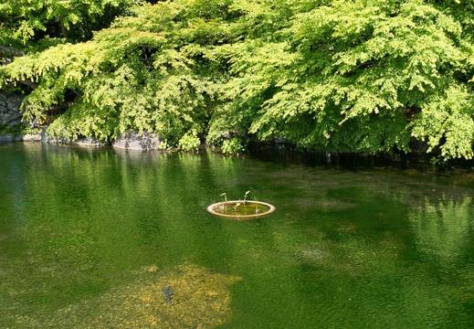 201305031446-DSC01228N.jpg