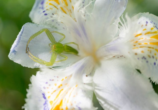 201305031519-DSC01252N.jpg