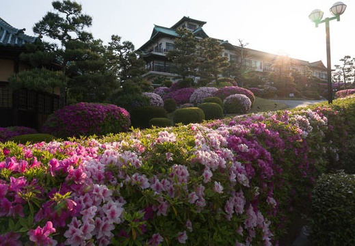 201305040632-DSC01287N.jpg