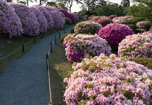 201305040644-DSC01324N.jpg