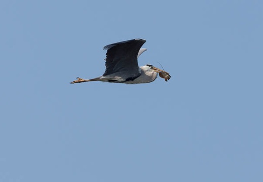 201305040828-DSC09047.jpg
