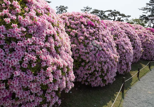 201305040928-DSC09158.jpg