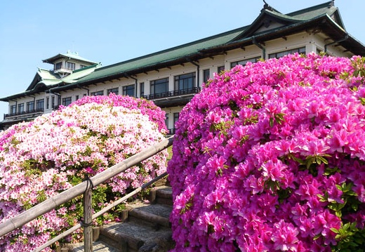 20130504093147-SO-04D.jpg