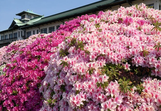 20130504093203-SO-04D.jpg