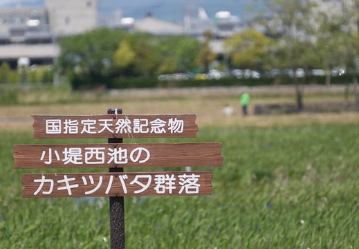 201305081239-DSC09356.jpg