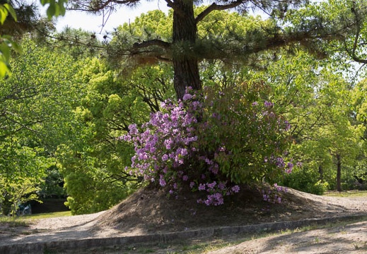 201305081418-DSC09567.jpg