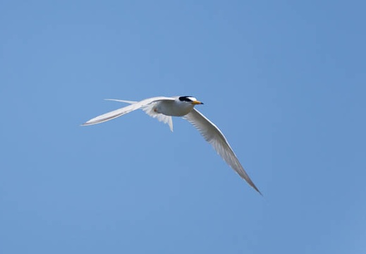201305081423-DSC09575.jpg