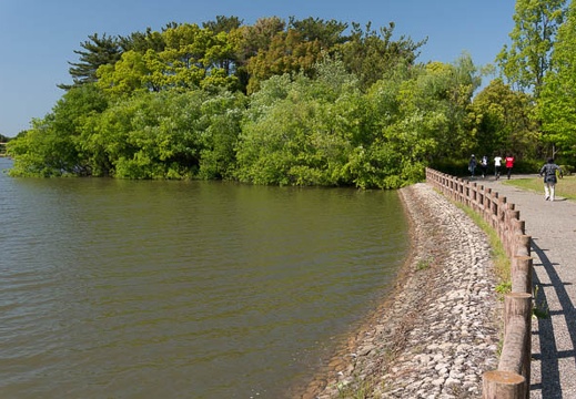 201305081448-DSC01675N.jpg