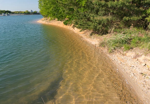 201305081623-DSC01703N.jpg