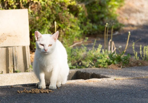 201305081634-DSC09641.jpg