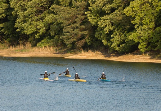 201305081746-DSC09710.jpg