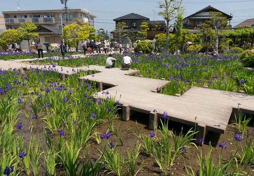 201305091129-DSC01783N.jpg