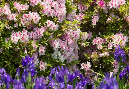 201305091132-DSC09819.jpg
