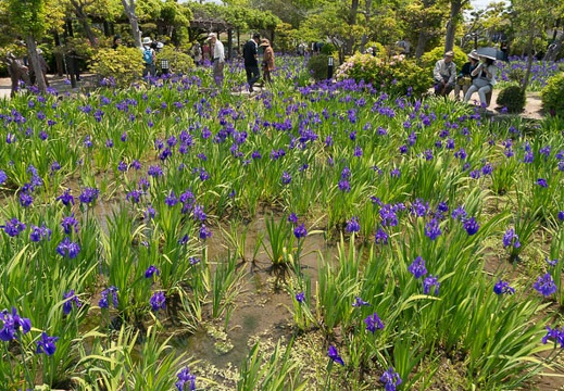 201305091133-DSC01787N.jpg
