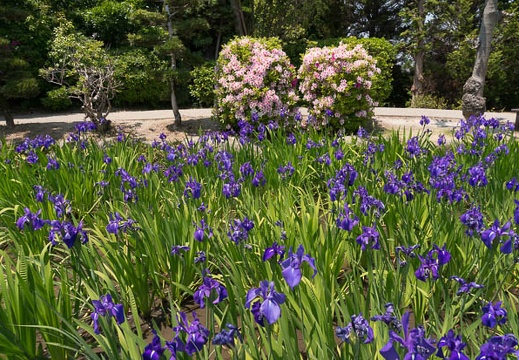 201305091134-DSC01791N.jpg