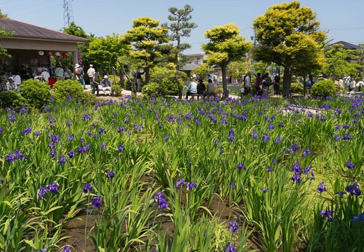 201305091141-DSC01811N.jpg