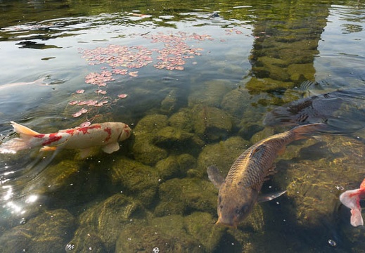 201305091532-DSC01856N.jpg