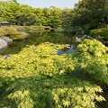 201305091544-DSC01876N.jpg