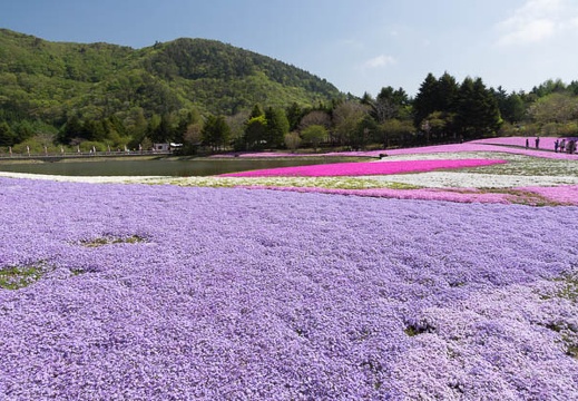 201305130857-DSC00025.jpg