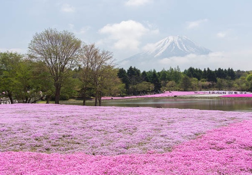 201305131016-DSC00146.jpg