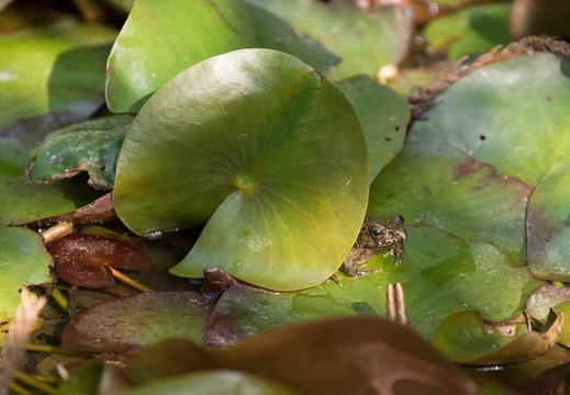 201305170751-DSC00331.jpg