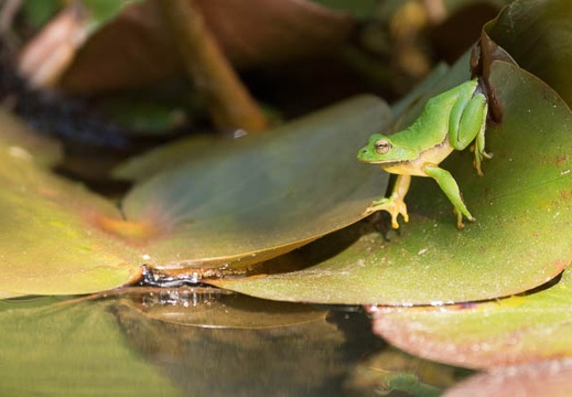 201305170752-DSC00337.jpg