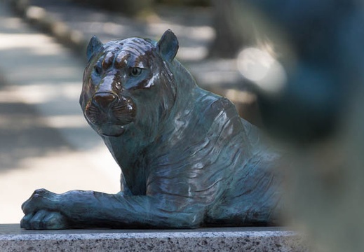 201305170759-DSC00347.jpg