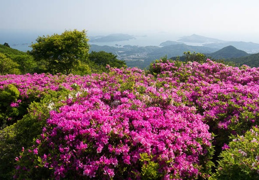 201305170839-DSC00397.jpg