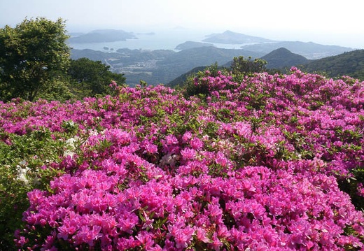 20130517083927-SO-04D.jpg