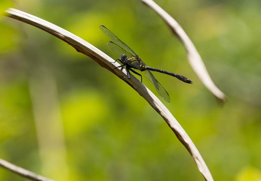 201305171134-DSC00518.jpg