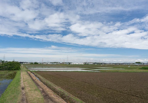 201305201017-DSC02420N.jpg