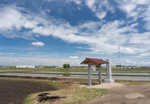 201305201035-DSC02446N.jpg