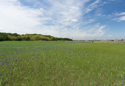 201305201036-DSC02449N.jpg