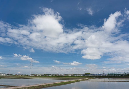 201305201044-DSC02466N.jpg