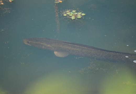 201305201308-DSC01054.jpg