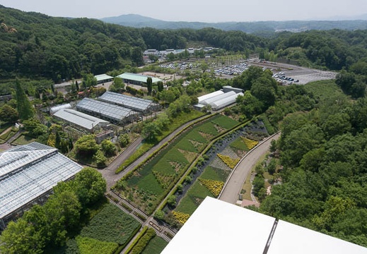 201305221132-DSC02594N.jpg