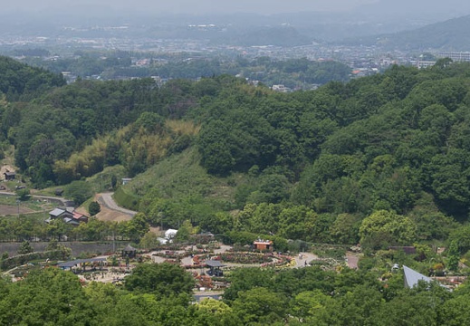 201305221133-DSC01204.jpg
