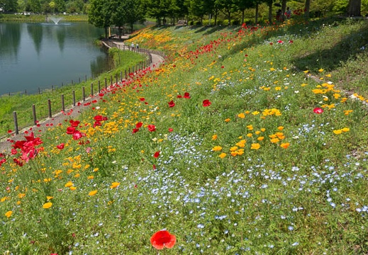 201305221200-DSC02632N.jpg