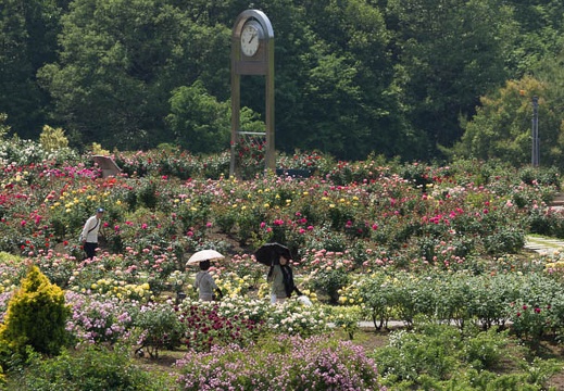 201305221308-DSC01306.jpg