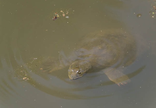201305241241-DSC01496.jpg